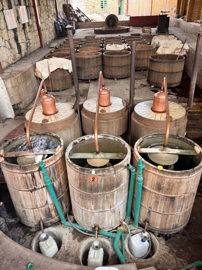 Impianto produttivo di una distilleria di mezcal