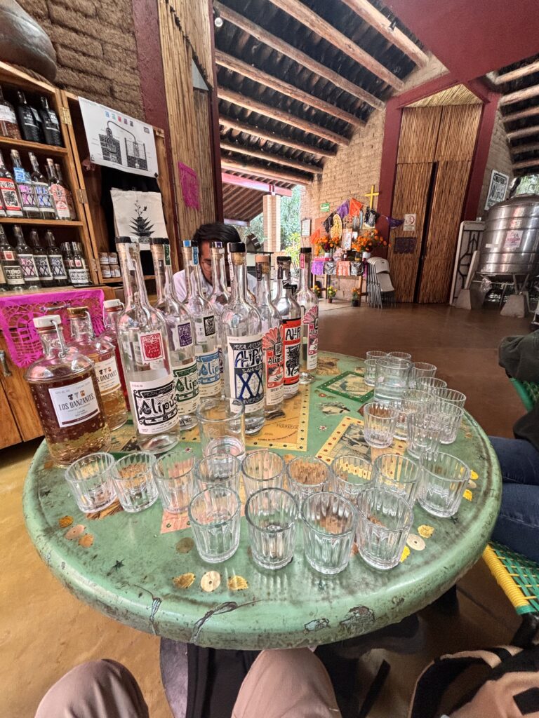 Degustazione di mezcal alla distilleria Alipus